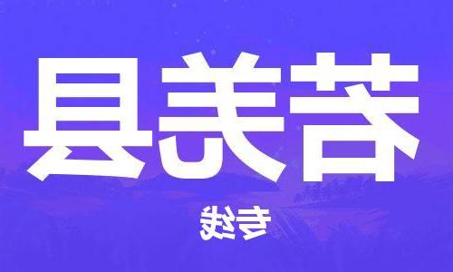 天津到若羌县物流公司|天津到若羌县物流专线|天津到若羌县货运专线